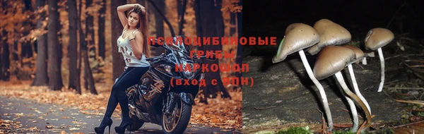 COCAINE Каменногорск