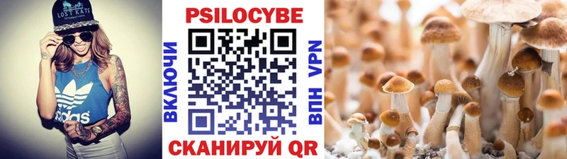 Галлюциногенные грибы Cubensis  МЕГА сайт  Туапсе 
