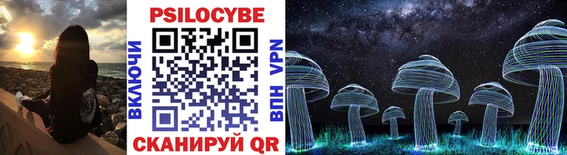 Псилоцибиновые грибы Psilocybe Туапсе